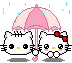 chats-parapluie-34